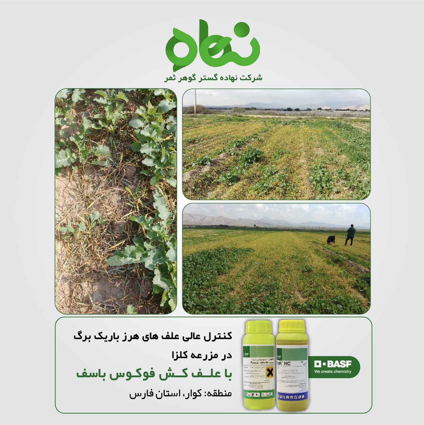 Customer satisfaction with the use of Focus